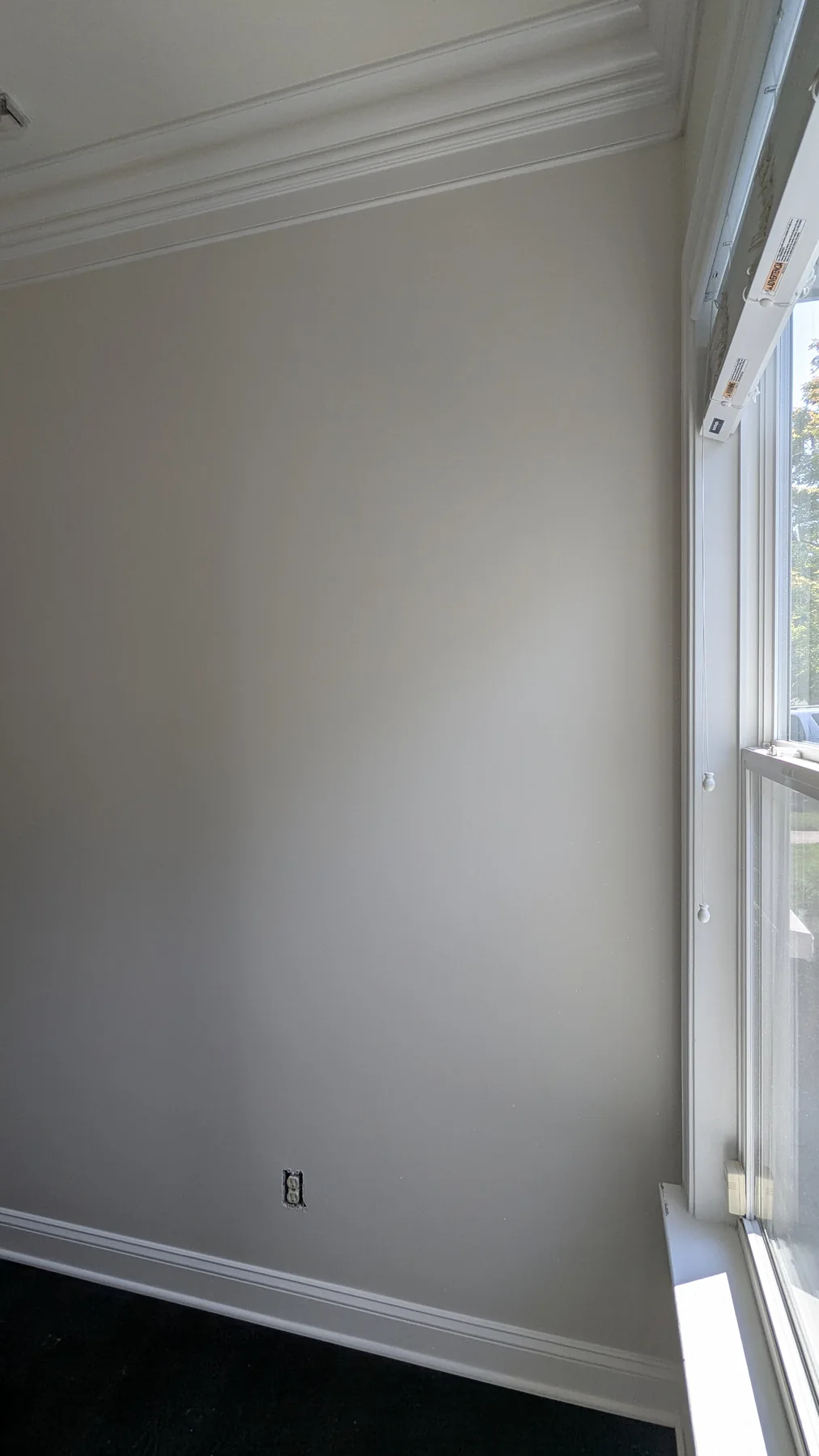 Painted bathroom wall with white baseboard and window trim