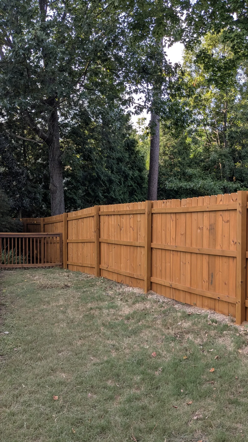 Long run of warm-toned wood fencing beside a lawn