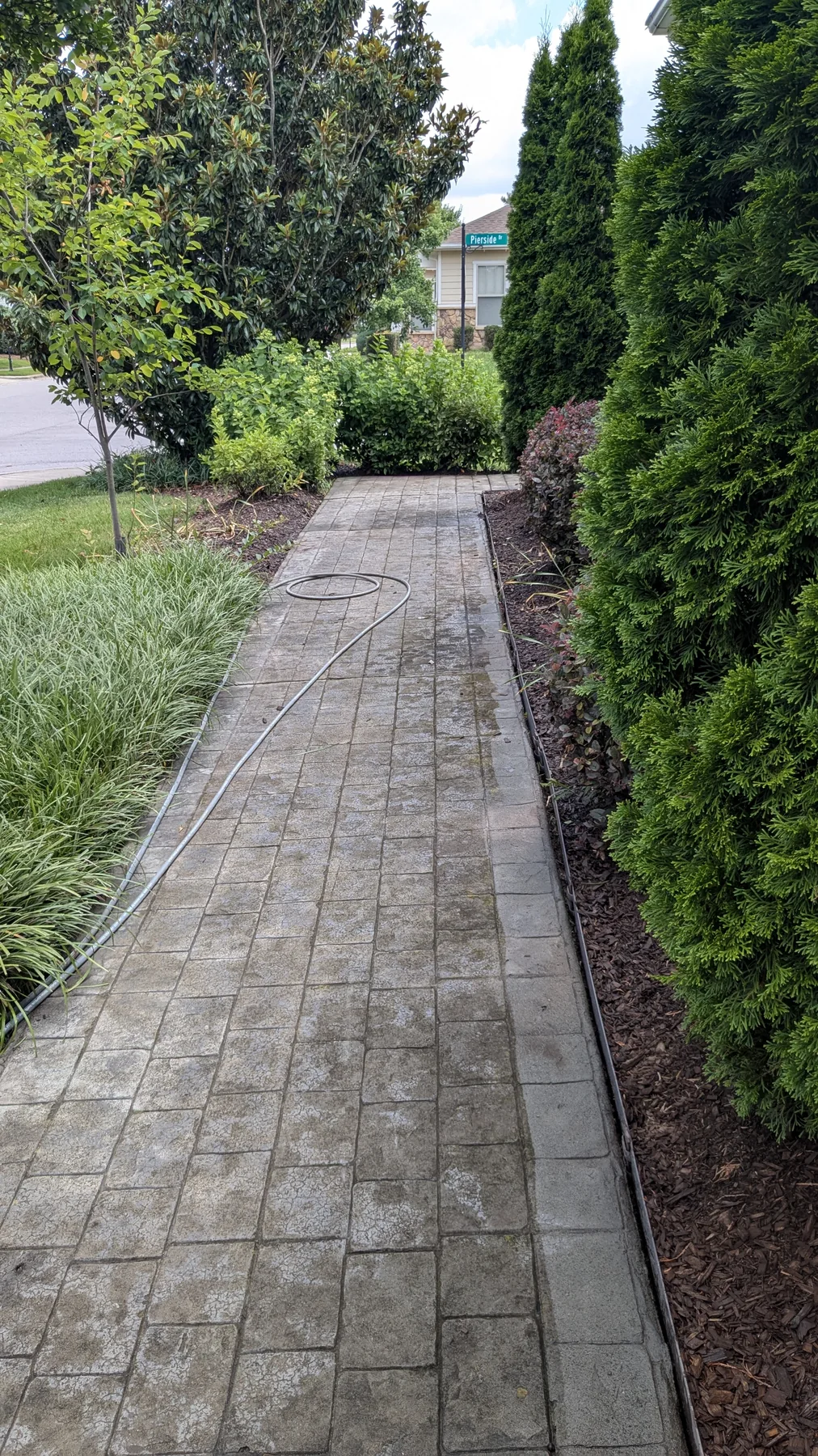 Garden walkway with visible surface buildup